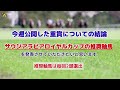 サウジアラビアロイヤルカップ2022の推奨軸馬【最終結論】