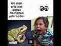 අන්තිම එක බලන්න එපා 😅 subscribe and like .