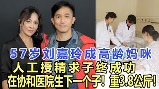 獨家猛料！剛剛！57歲劉嘉玲高齡媽咪人工授精求子終成功，在協和醫院生下一個子！重3.8公斤！梁朝偉含淚發文終於喜當爹！娛樂名星