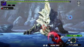 [MHXX] 極天より来たる、崩せし神 ブレイヴヘビィボウガン 05'03\