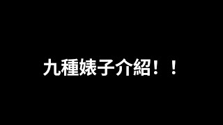 9種婊子/介紹