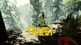 【The Forest】過酷な森でのサバイバルを生き残り息子を助けよ！＃２