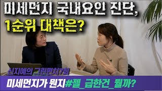 [신지예의 그린펀치]7회:미세먼지 국내요인 진단, 1순위 대책은?