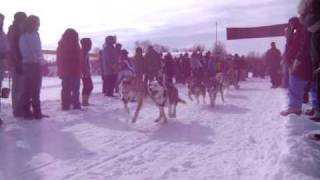 Cannington sled dog race day 1, clip 2