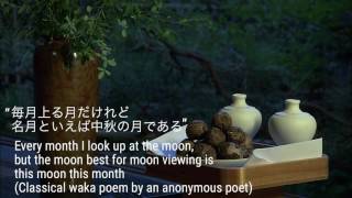 【Moon Viewing】Praying to the Moon 【お月見】月に祈る