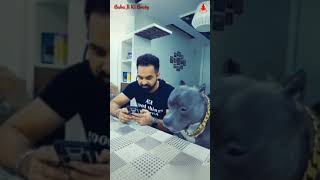 Zili Funny Video zill  comedy video funny Tiktok video  zili funny video Lockdown tik tok video