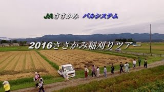 【空撮】2016ささかみ稲刈りツアー＿新潟ささかみ