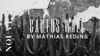TV ART | Black & White: Cactus Wall by Mathias Reding | 4K Screensaver for TV Frame
