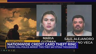 Nationwide credit card theft ring