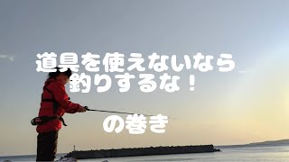 礼文島2日目  ソイを釣るはずが　リール使えなかった