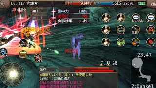 イルーナ戦記 スナイパー VS Lv450 シュツルム iruna online