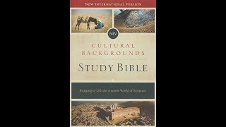 NIV Cultural Backgrounds Study Bible