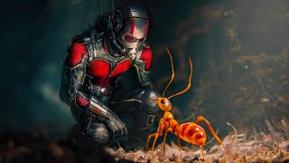 Ant-Man Training Scene - Scott Lang "COOL" Scene - Ant-Man (2015) Movie Clip