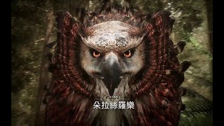 ★《奧丁神叛 ODIN》_4-2 boss 巨大梟熊~朵拉絲羅樂(刺客)....hp恢復靈藥~