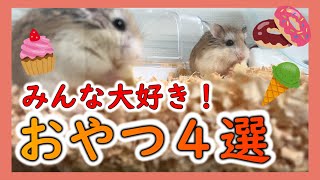 【ハムスター】絶対食べる！みんな大好き市販のおやつ４選！