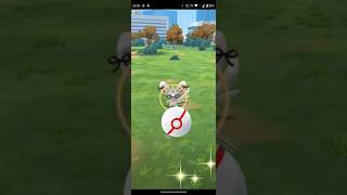 【BGM版】ポケモンGOファッションウィークイベント2025の目玉ことレイド\u0026タスク限定の鬼畜仕様で新登場のコスチュームチラーミィをリモートパス使用して討伐後に捕獲する動画