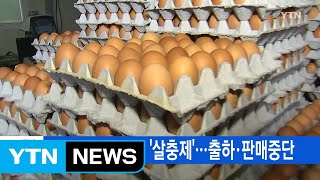 [YTN 실시간뉴스] 국내산 달걀에도 '살충제'...출하·판매중단 / YTN