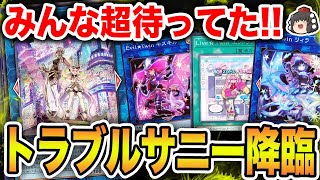 【初心者向け】実装決定！イビルツインが超絶強化！トラブルサニーを徹底解説！【遊戯王マスターデュエル】