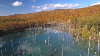 NHK VIDEO BANK - Drone shot: mysterious blue pond colored brightly in autumn scene, Hokkaido