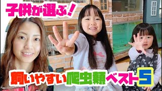 子供が選ぶ！飼いやすい爬虫類ベスト５！！