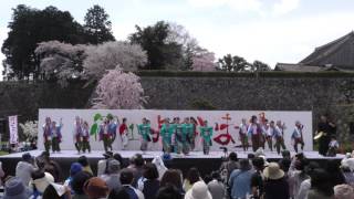 丹波篠山楽空間　篠山よさこいまつり２０１７　メイン会場４ｋ