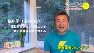 ８．脳科学（SPARK）運動が脳を良い状態にして強い脳神経回路をつくる