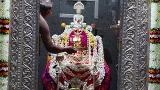 shree vadanabail padmavathi devi mahamangalarathi date 30-08-2024