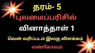 புலமைப்பரிசில்|| வினாத்தாள் 1|| முக்கிய வினாக்கள்|| Exams Efficient