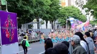 YOSAKOIソーラン祭り2016 青森花嵐桜組 審査パレード