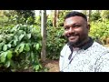 കോഫീ പ്ലാന്റേഷൻ കാണാൻ കൂർഗിലേക്ക് a visit to coffee plantation in coorg