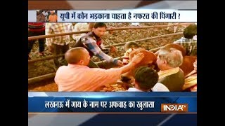 Lucknow: Cows being poisoned and thrown at Kukrail jungle, fake news goes viral on social media