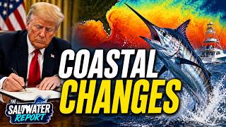Trump's Executive Order Raises Questions for Beach Access | Marlin Water Arrive