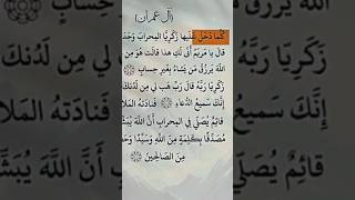 تلاوة عطرة | كلما دخل عليها زكريا المحراب | محمد الفقيه #قرآن #محمد_الفقيه #حالات