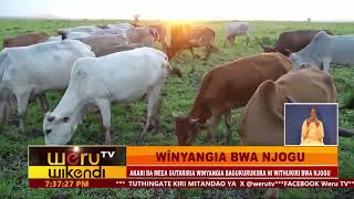 WÎNYANGIA BWA NJOGU