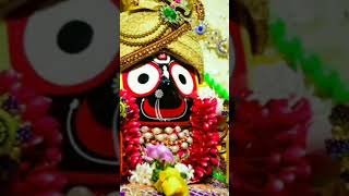 Jay Jagannath Swami Nayan patha gami bhaba tume jay ho 🙏 subscribe share like comment karantu ♥️