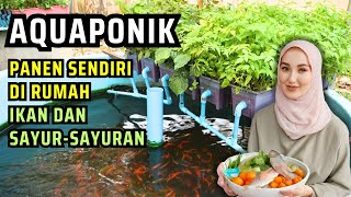 YUK COBA BIKIN, Rahasia Sukses Aquaponik, Panen Sendiri Ikan dan Sayuran di rumah