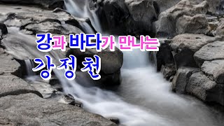 🌊강과 바다가 만나는 강정천🌳💧