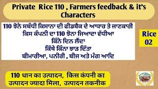 110 Rice !  110 ਝੋਨੇ ਸਬੰਧੀ ਜਾਣਕਾਰੀ ! ਕੰਪਨੀ, ਝਾੜ, ਮੁਸ਼ਕਿਲਾ ਆਦਿ! ਕਿਸਾਨਾ ਦੀ ਫੀਡਬੈਕ ਦੇ ਆਧਾਰ ਤੇ ਜਾਣਕਾਰੀ!