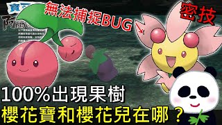 【寶可夢傳說 阿爾宙斯】密技無法捕捉BUG 櫻花寶和櫻花兒必出果樹地點？晴天形態無法捕捉BUG、夜晚陰天形態才可捕獲【地方熊貓】Pokémon LEGENDS アルセウス