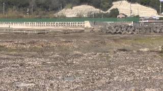 みなべ堺一本松の地磯　干潮時の風景