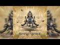 Shivatree- Digital Space (Original Mix)