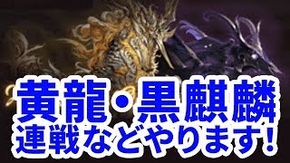 【グラブル】黄龍・黒麒麟連戦など頑張るマン！（マイク無し）「グランブルーファンタジー」