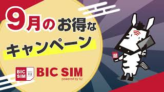 【BIC SIM】2024年9月キャンペーン情報