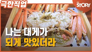 [EBS 극한직업] 겨울의 맛, 대게 - 대게 맛있게 먹는 방법