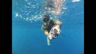 Takapoto top spearfishing Dogtooth Tuna with Gopro hero 3 silver