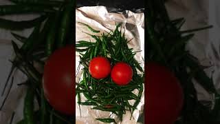 Green Chilli // Red Tomatoes \\ #shorts #shortvideo #vegetables