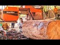 Sri Lankan Sawmill Growing Amid Domestic Rebuilding | Wood-Mizer