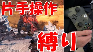 【MHWI】歴戦の怒り喰らうイビルジョーを片手操作で倒す【アイスボーン】