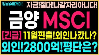 [금양 주가 전망]MSCI이미편출!그러나외인2800억보유!평단은?결국그이상끌어올린다!절대나갈자리아니다!