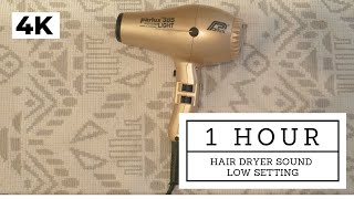 Relaxing hair dryer sound low setting 1 hour background white noise ambience study sleep no talking